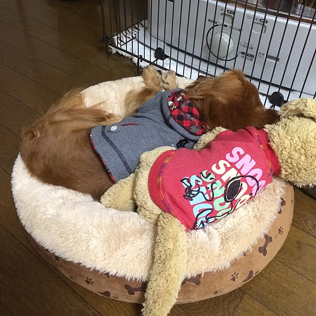 ram_mamaさんの実例写真