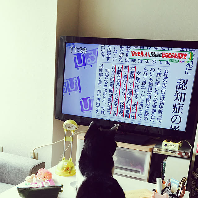 mikoさんの実例写真