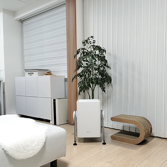 sakuraさんの実例写真