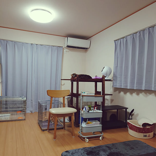 noguriさんの実例写真