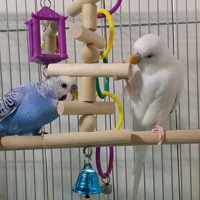 karinさんの実例写真