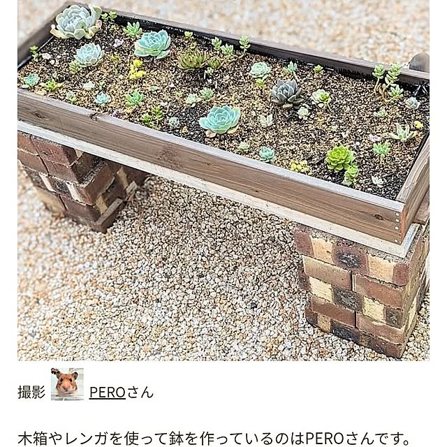 PEROさんの部屋