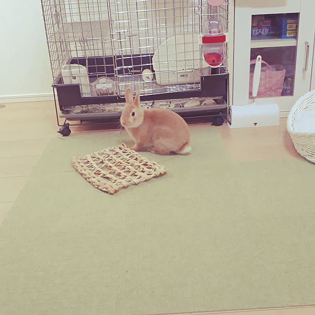 aiさんの実例写真