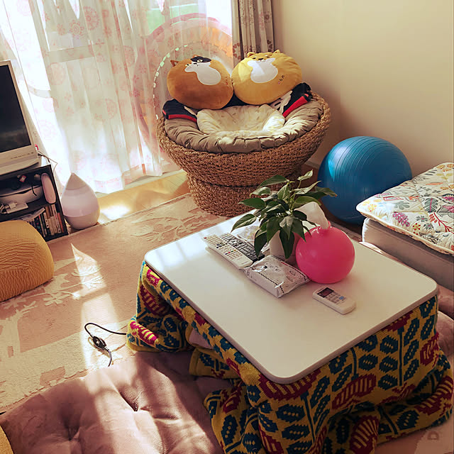 部屋全体/一人暮らし/北欧/観葉植物のインテリア実例 - 2019-02-04 12:58:59