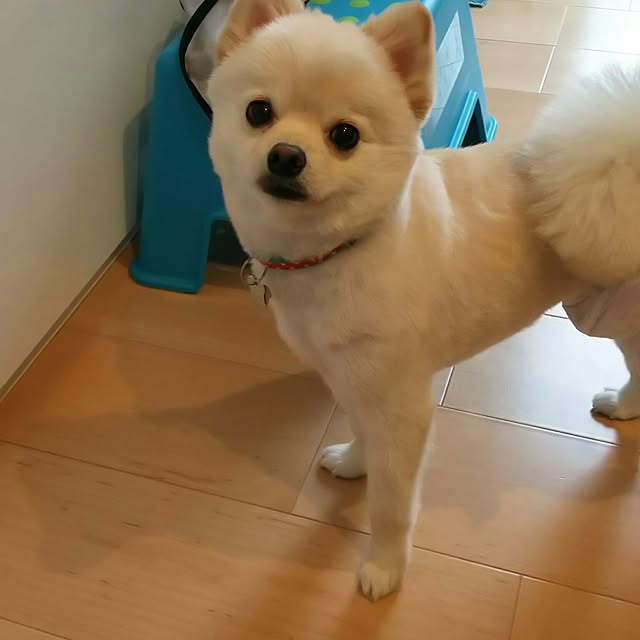 yuki15さんの実例写真