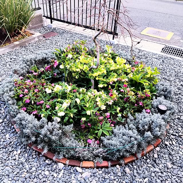 NSDさんの実例写真