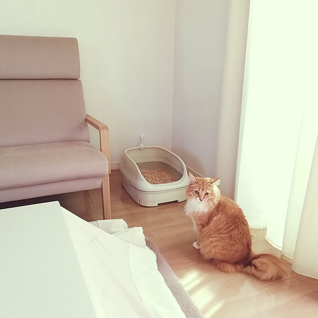 pinokoさんの部屋