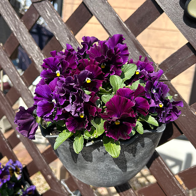 ritsukoさんの部屋