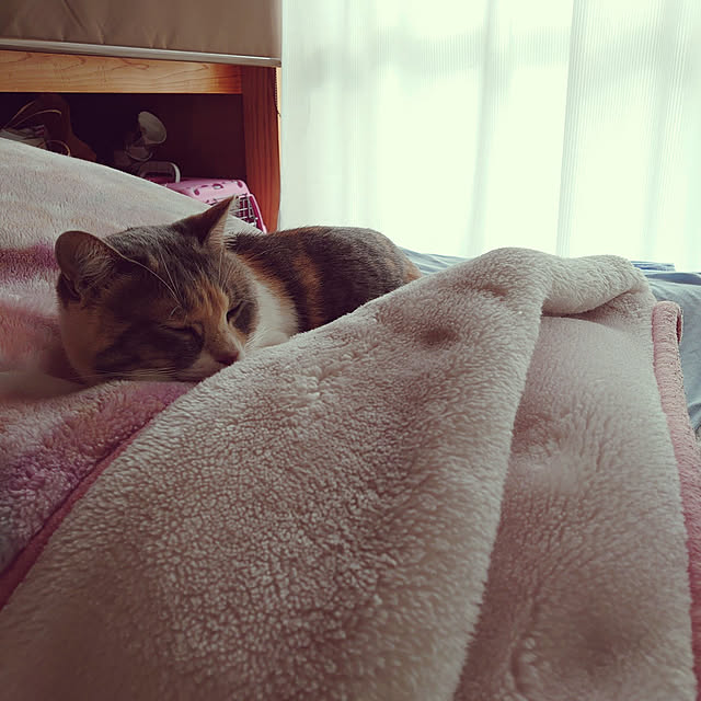 fukuさんの実例写真