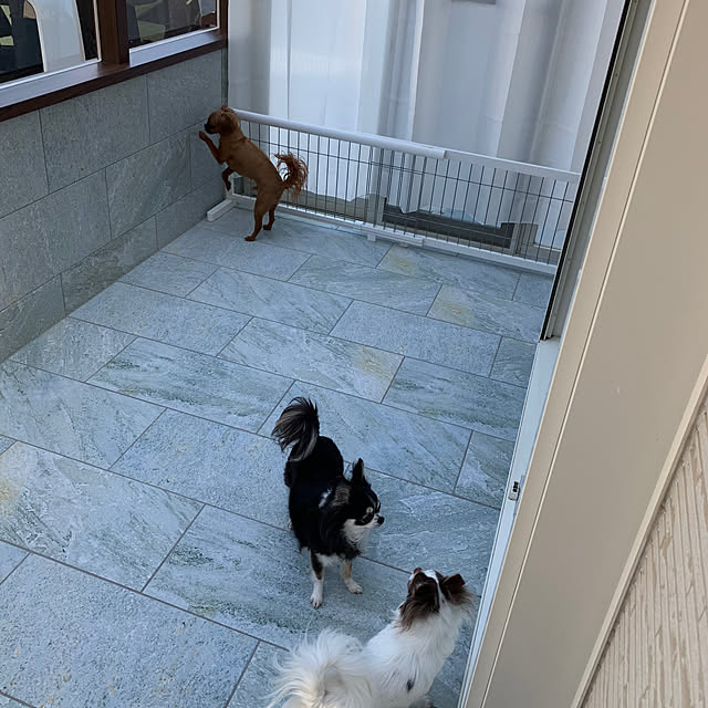 makoさんの部屋