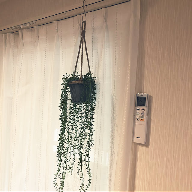 aaaさんの実例写真