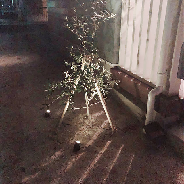 Emiさんの実例写真