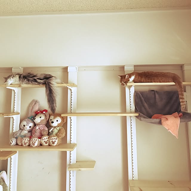 neco7さんの実例写真