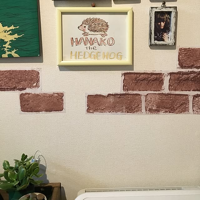 tetra163さんの実例写真