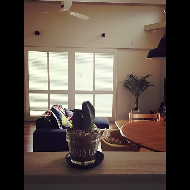 ayupikoさんの実例写真