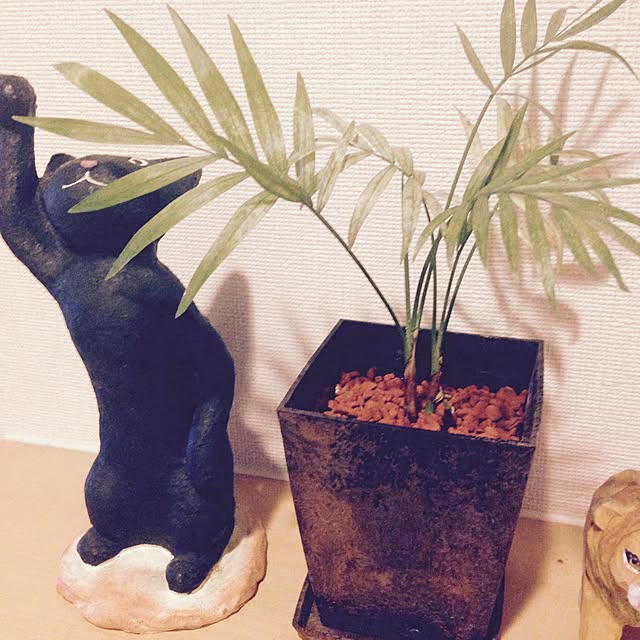Muusさんの実例写真