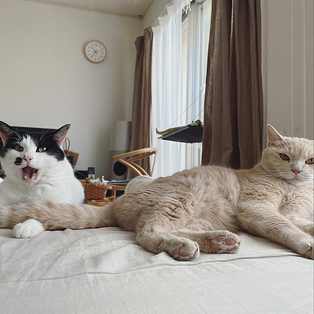 nicoさんの実例写真