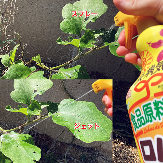 cocorin_homeさんの実例写真