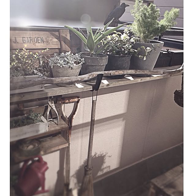jnkaiさんの実例写真