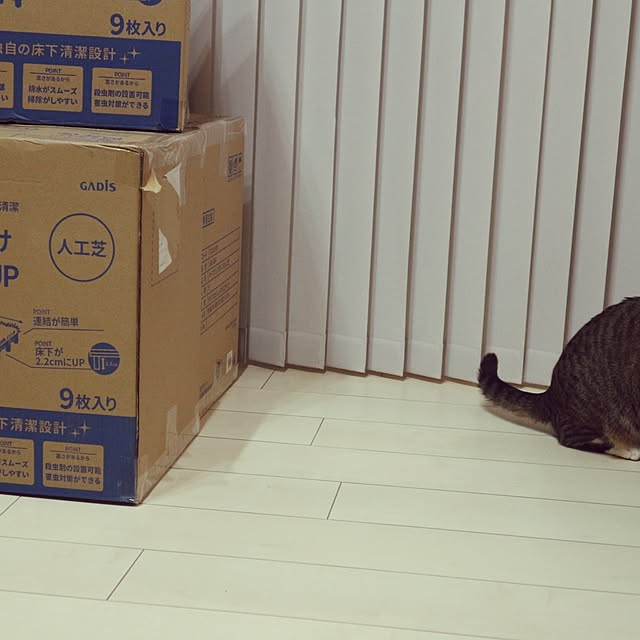 hanacocoさんの部屋