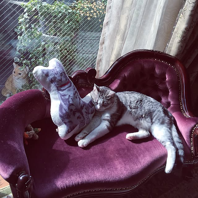 emmyyさんの実例写真