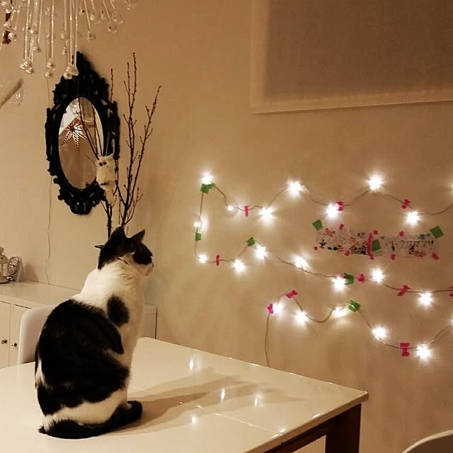 runayucoさんの実例写真