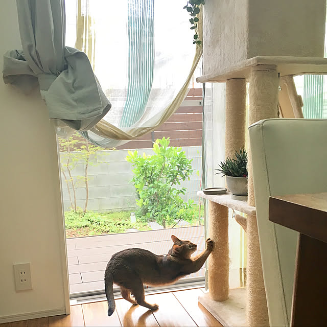 sakineko528さんの実例写真
