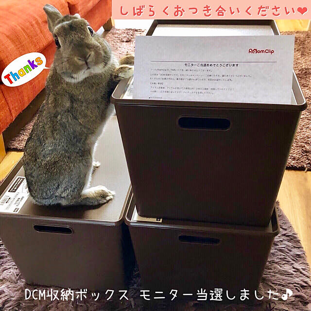 muuさんの実例写真