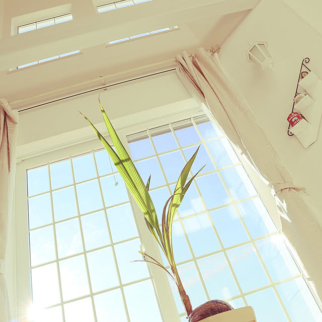 S.homeさんの実例写真