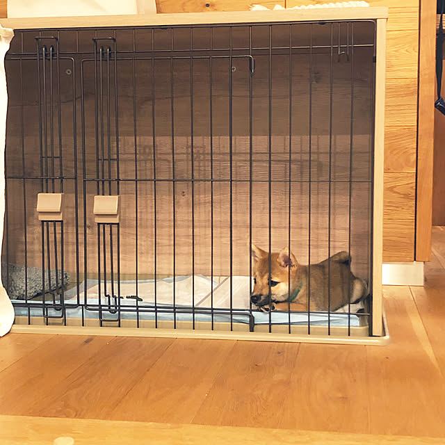 johnp._.qtotoさんの実例写真