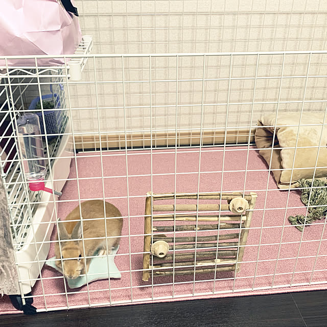 monacococoさんの実例写真