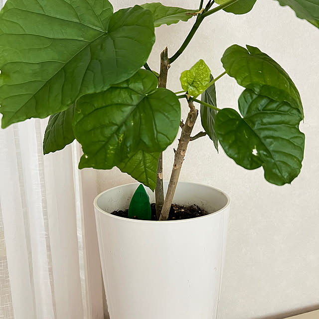yumimaruさんの部屋