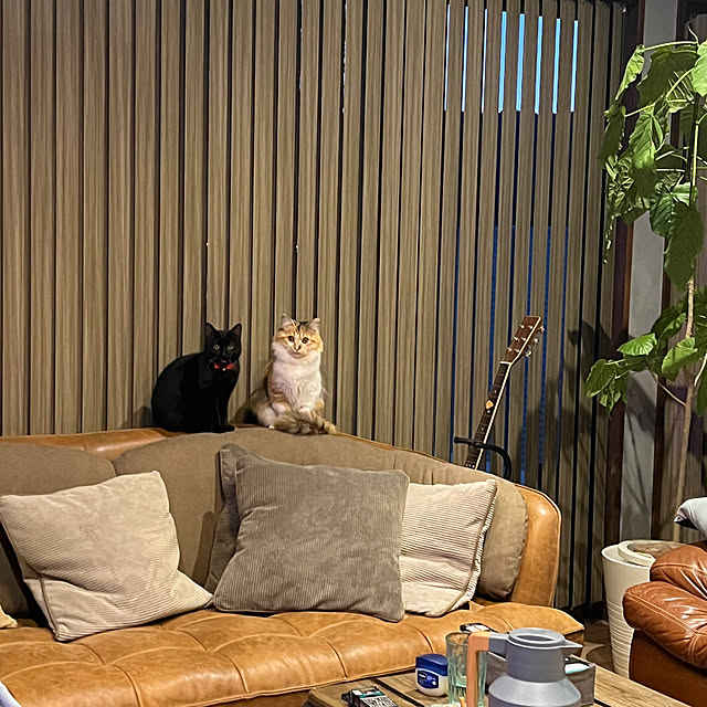 Hirokoさんの実例写真