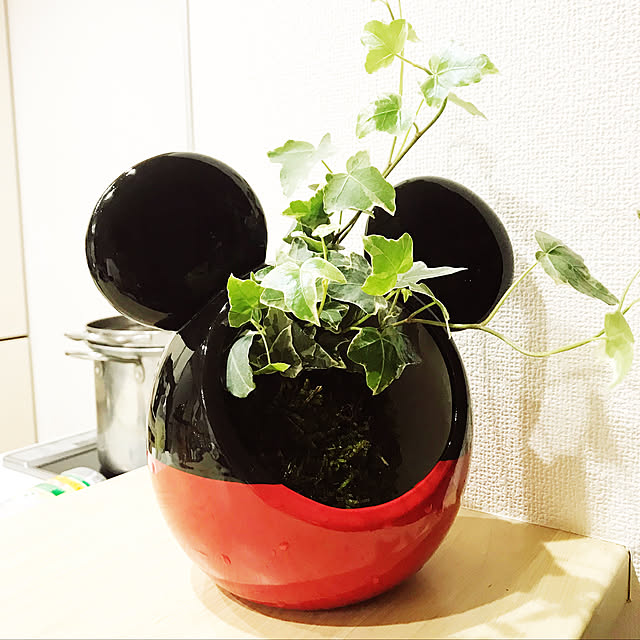 ディズニー♡/観葉植物/キッチンのインテリア実例 - 2019-05-26 00:56:02
