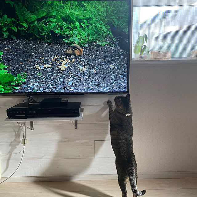 t-famさんの部屋
