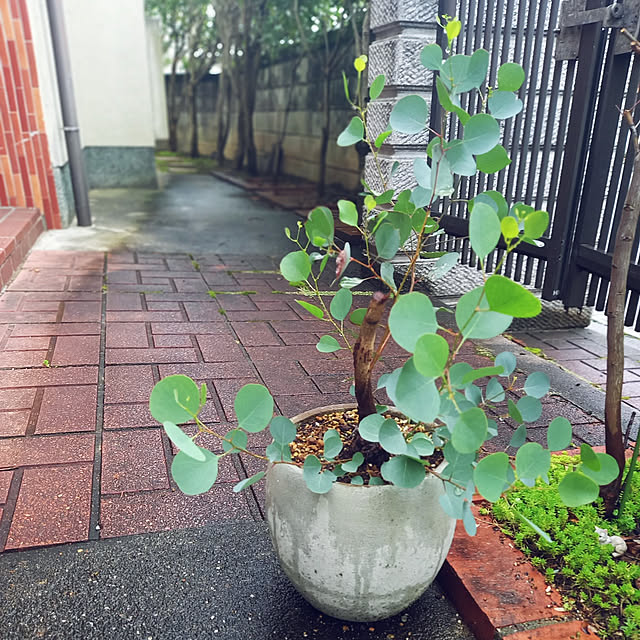 rhuさんの実例写真
