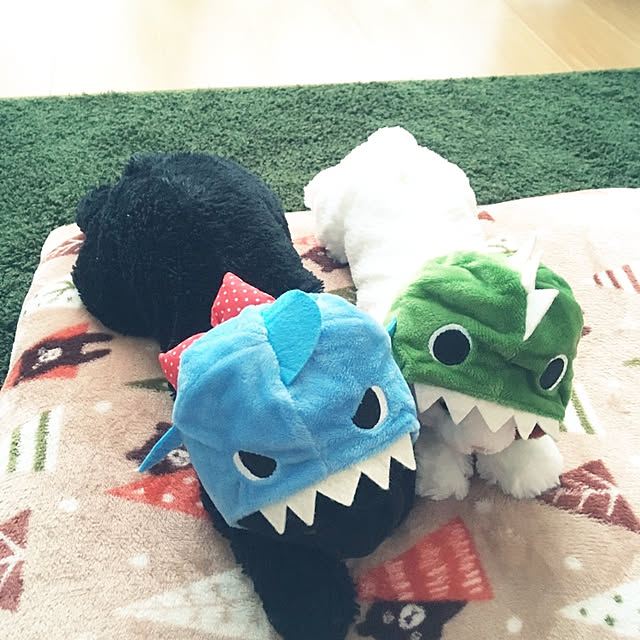 hiyollieさんの実例写真
