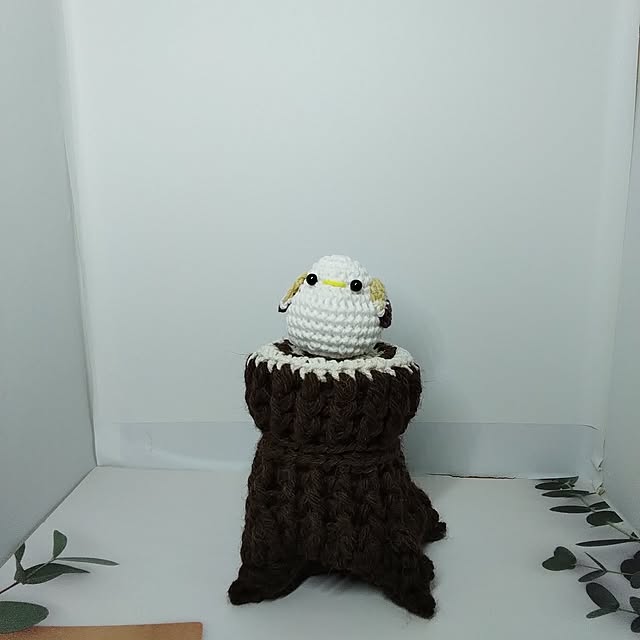 fujiyayuさんの部屋