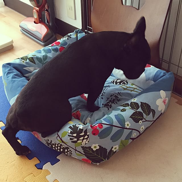 pekoさんの実例写真