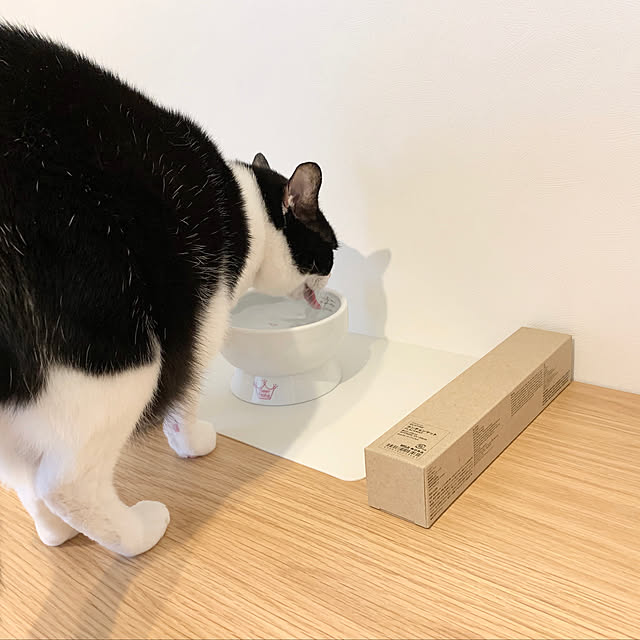 bikkeさんの実例写真