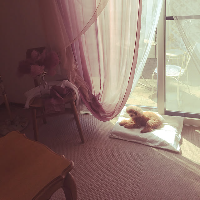 marikaさんの実例写真