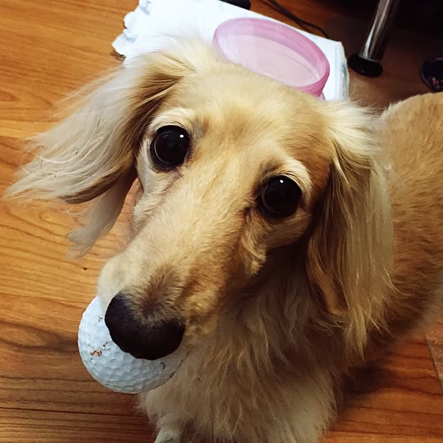 mikiさんの実例写真