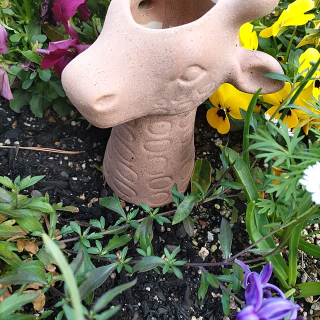 salacocoさんの部屋