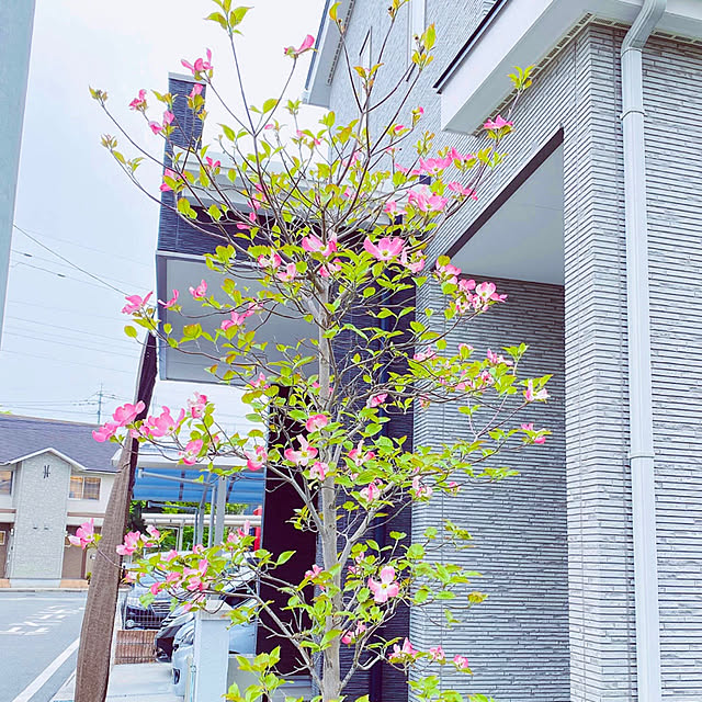 uki-uki77さんの実例写真