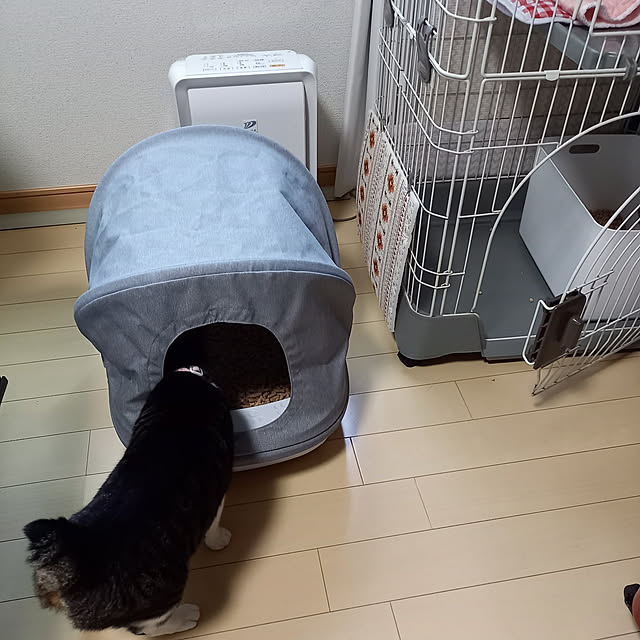 civicglさんの実例写真