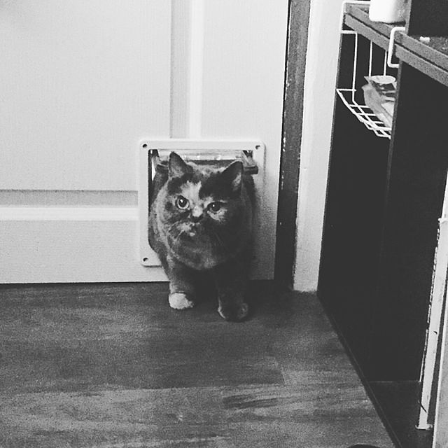 mum00nさんの実例写真