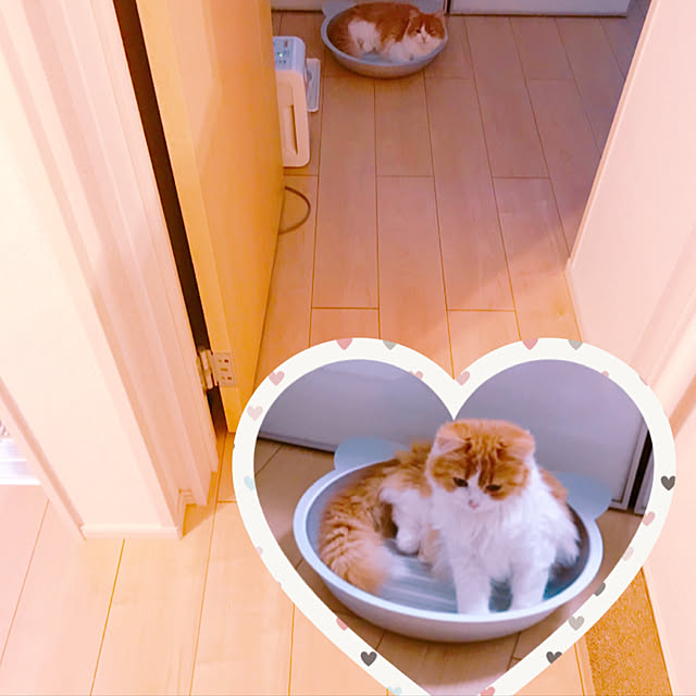 H.Tさんの実例写真