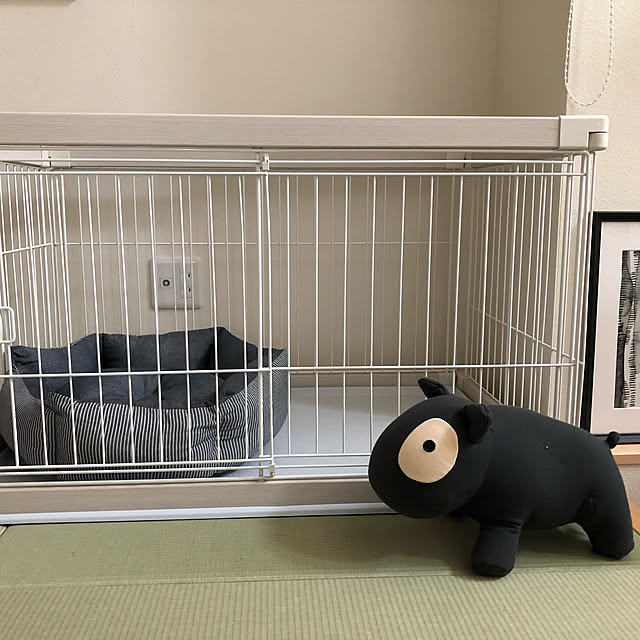 mauiさんの実例写真