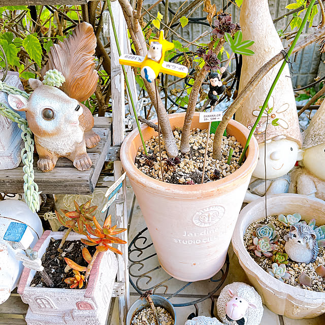 eriharuさんの実例写真