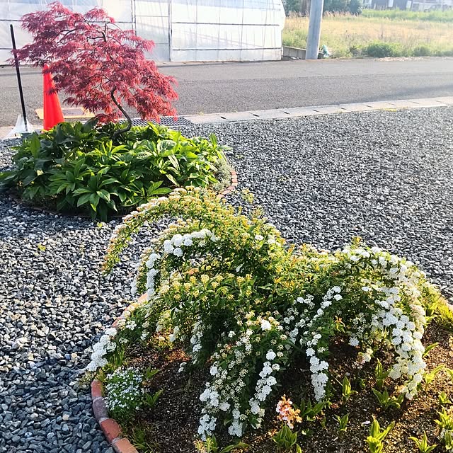 mtmtさんの実例写真